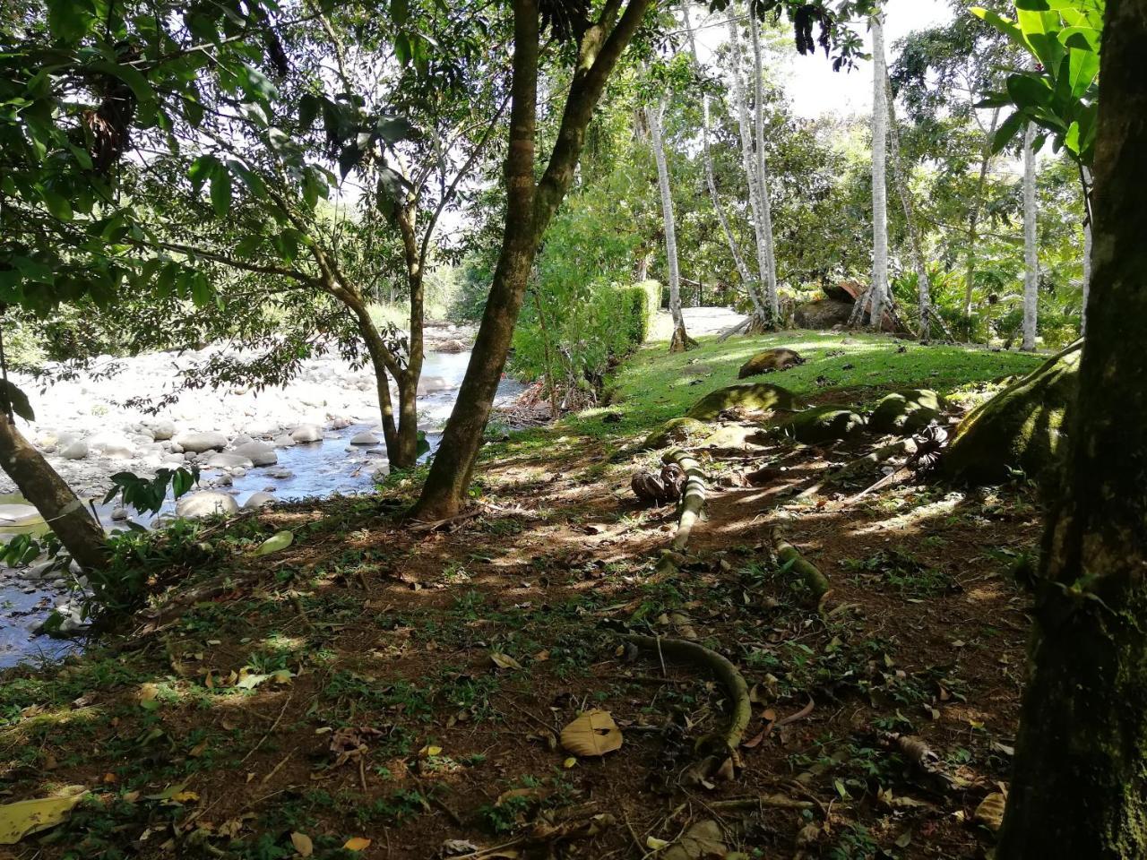 El Rinconcito Wifi- Private River And Air Cond Villa La Fortuna Buitenkant foto